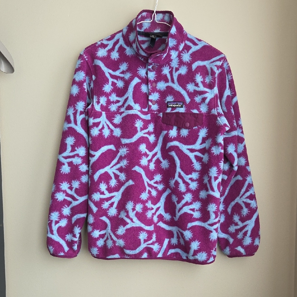Patagonia Synchilla Snap-T Fleece Pullover XS Teddy Joshua Tree
